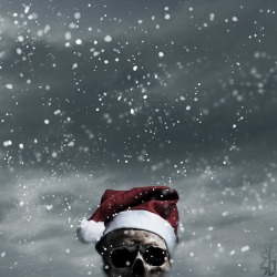 Santa Hat Skull