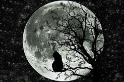 Super Moon