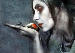 Picture