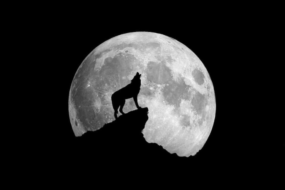 Full Wolf Moon